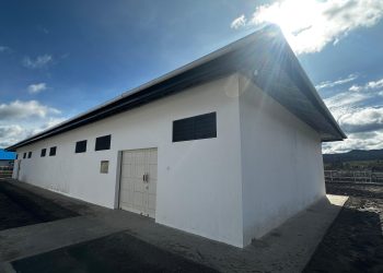 Menko PMK Pratikno Resmikan Gudang Logistik BNPB di Agandugume, Puncak