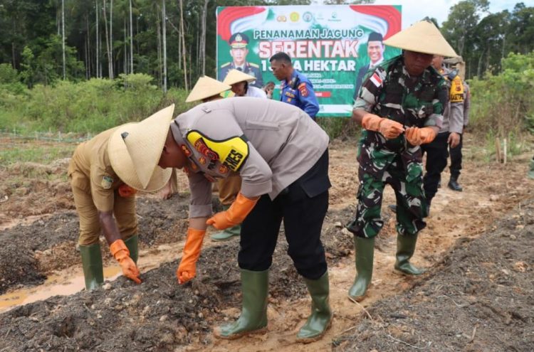 Kapolres AKBP Wisnu Perdana Putra saat melakukan tanam perdana jagung. (Foto : Muh. Syahrir)