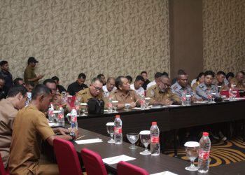 Kunker Wakil Presiden RI di Merauke, ini Jadwalnya