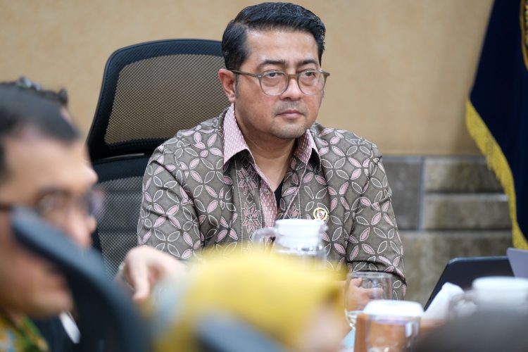 Menekraf/Kabekraf Teuku Riefky Harsya. (Foto : Istimewa)