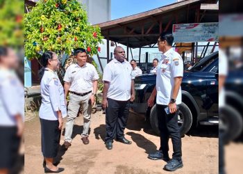 Pj. Gubernur Papua Selatan Rudy Sufahriadi