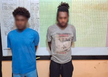 Dua Pelaku Pencurian Motor Diciduk di Jayapura, Polisi Bertindak Cepat Setelah Laporan Masyarakat