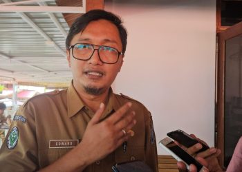 Kabupaten Jayapura Darurat TBC Anak, 294 Kasus Ditemukan di 2024