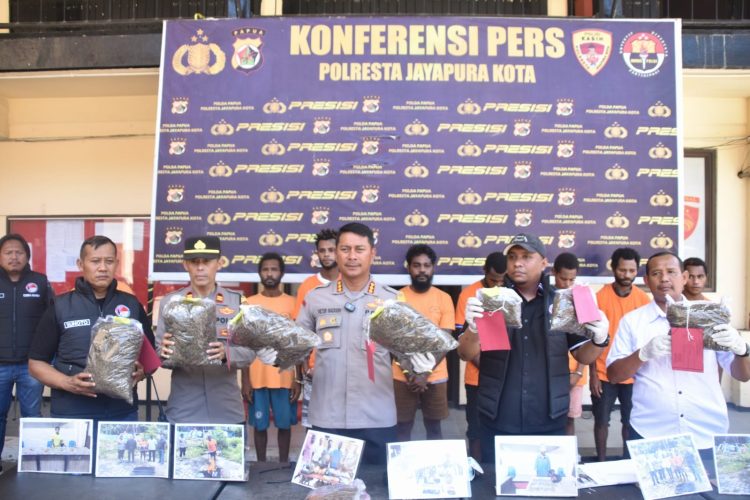 Polresta Jayapura Kota merilis para tersangka dan barang bukti ganja kering. (Foto : Istimewa)
