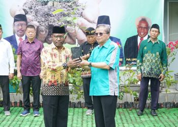 Luncurkan Gerakan 1 Juta Pohon Matoa, Kemenag Papua Bumikan Ekoteologi