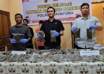 Polres Jayapura Gagalkan Peredaran 4,3 Kg Ganja, Dua Pengedar Ditangkap di Sentani