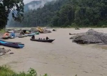 PETI Kembali Gerogoti Manokwari, Petani Merugi, Polisi Perkuat Upaya Penindakan di Laut dan Darat