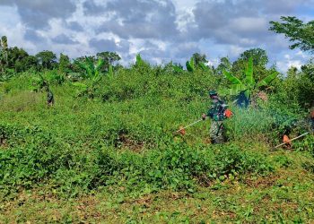 Satgas TMMD Kodim Mimika Buka Lahan Tidur untuk Ketahanan Pangan di Papua Tengah