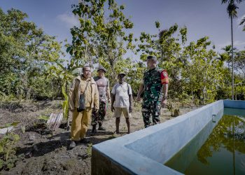 Satgas TMMD Serahkan Bantuan Kolam dan Bibit Lele untuk Warga Naena Muktipura, Dorong Ketahanan Pangan dan Ekonomi Desa