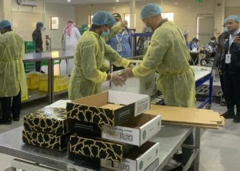 Ajwa Madinah, Kurma Premium Favorit Jemaah Indonesia