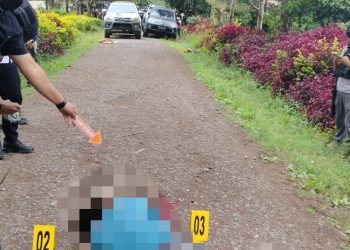 Dua Pekerja Bangunan Tewas Ditembak KKB di Jayawijaya, Satgas Cartenz Langsung Bertindak