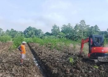 Kapolres Jayapura Tinjau Perkembangan Program Pertanian Binaan di Distrik Kemtuk