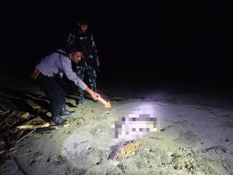 Penemuan jasad bayi berjenis kelamin laki-laki disekitar Pesisir Pantai Kampung Skouw Sae Distrik Muara Tami. (Foto: Istimewa)