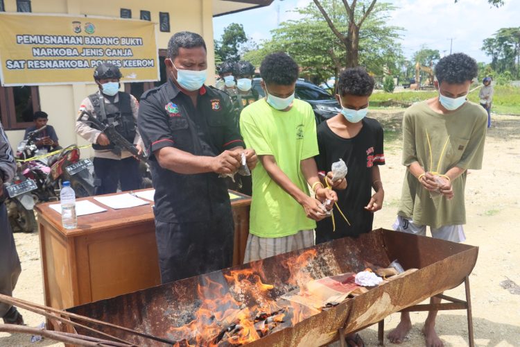 Polres Keerom melaksanakan pemusnahan barang bukti narkotika golongan I jenis ganja. (Foto: Istimewa)