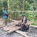 Penyerangan Brutal KKB di Siriwo, Dua Personel Brimob Tewas Saat Bertugas