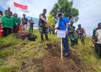 Semarak HUT RI, Korem 172/PWY Tanam 80 Ribu Pohon