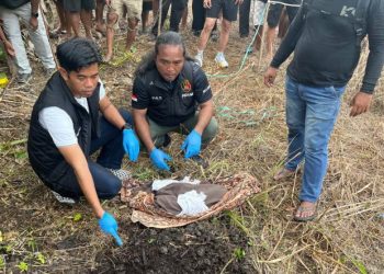 Polres Sarmi Lakukan Olah TKP Penemuan Jasad Bayi di Kampung Vietnam