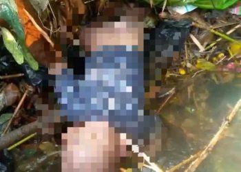 Balita Hanyut di Kali Toladan Ditemukan Meninggal Dunia, Polres Jayapura Imbau Warga Lebih Waspada