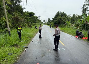 Kecelakaan di Jalan Trans Papua, Satu Tewas dan Tiga Luka-Luka