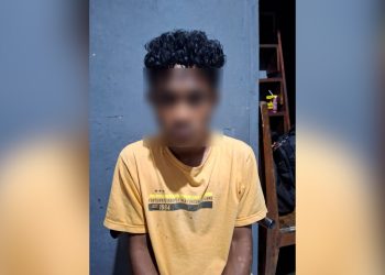 Polres Jayapura Amankan Satu Pelaku Pencurian di Perumahan BTN Puskopad, Dua Masih Diburu