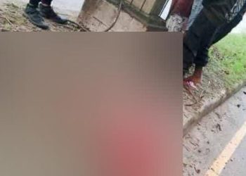 Kecelakaan Tunggal di Sentani Timur, Pengendara Motor Tewas di Tempat