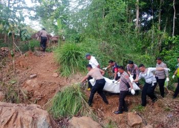 Mobil Gran Max Masuk Jurang di Sentani Timur, Pengemudi Tewas di Tempat