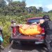 Dua Warga Pendulang Emas Tewas Dibunuh di Yahukimo, Satgas Damai Cartenz Lakukan Evakuasi