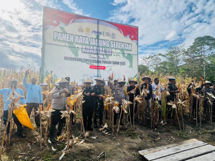 Polda Papua Panen Raya Jagung Kuartal III Sebanyak 4 Ton di Kampung Aib Kemtuk Kabupaten Jayapura