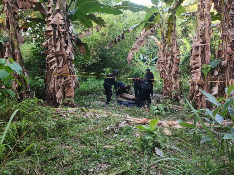 Proses evakuasi dilakukan dengan sangat hati-hati. (Foto: Istimewa)