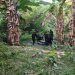 Pelajar Temukan Bom di Kali Sentani, Nyaris Dijual ke Pengepul Besi Tua