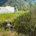 KKB Bakar Puskesmas Kiwirok, Aparat dan Satgas Damai Cartenz Terlibat Kontak Tembak