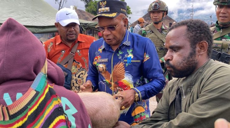 Bupati Puncak Elvis Tabuni saat menyerahkan bibit babi kepada masyarakat Distrik Omukia. (Foto: Istimewa)