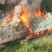 KKB Bakar Bangunan Lama SMP Negeri Kiwirok, Aparat Gabungan TNI-Polri Lakukan Tindakan Cepat