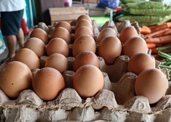 Pedagang Supiori Ungkap Penyebab Telur Langka Dua Pekan Terakhir