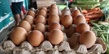 Pedagang Supiori Ungkap Penyebab Telur Langka Dua Pekan Terakhir