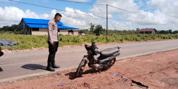 Kecelakaan Libatkan Truk Molen dan Sepeda Motor di Kurik, Tiga Orang Luka-Luka Termasuk Anak 9 Tahun