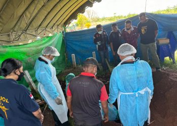 Tim Forensik Polda Papua Ekshumasi Jenazah Anak 11 Tahun, Polisi Dalami Penyebab Kematian