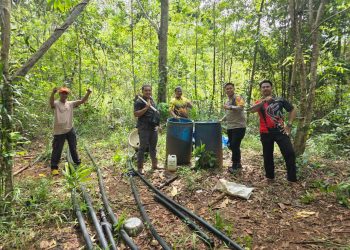 Peredaran Sopi di Ulilin Disikat: Polisi Ungkap Lokasi Produksi dalam Kebun Sawit