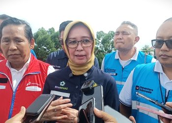 PLN Susun Roadmap Lima Tahun, Targetkan Elektrifikasi 100 Persen di Tanah Papua