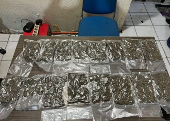 16 Paket Ganja Disita Polisi, Dua Pelaku Diamankan di Depan Kantor Gubernur