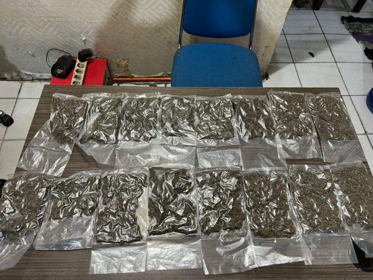 Barang bukti berupa 16 plastik bening ukuran besar berisi ganja dengan berat sekitar 300 gram. (Foto: Istimewa)