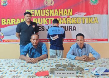 Ungkap Kasus Narkotika, Polres Jayapura Musnahkan Barang Bukti Ganja