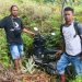 ‎Tim Opsnal Polsek Heram Temukan Motor Hilang di Buper Waena Berbekal GPS
