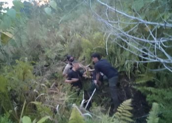 Napi Kabur dari Lapas Wamena Berhasil Ditangkap di Yahukimo