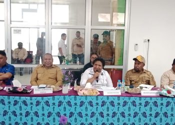 Wamendagri Ribka Haluk Benahi RSUD Yowari: Dorong Naik Tipe B dan Perbaiki Layanan Kesehatan di Papua