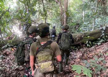 Aparat Gabungan TNI–Polri Tindak Anggota KKB Pimpinan Aibon Kogoya di Bukit Signal Nabire