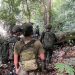 Aparat Gabungan TNI–Polri Tindak Anggota KKB Pimpinan Aibon Kogoya di Bukit Signal Nabire