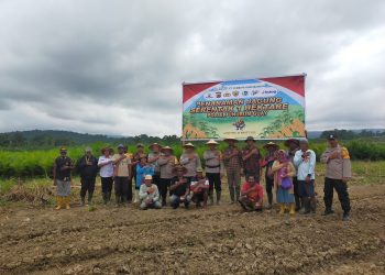 Dukung Program Ketahanan Pangan, Polres Jayapura Bersama Masyarakat Laksanakan Penanaman Jagung Serentak