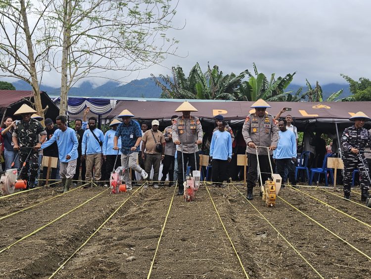 Penanaman jagung serentak Kuartal I tahun 2026 sebagai bagian dari dukungan terhadap program ketahanan pangan nasional. (Foto: Cornelia Mudumi)