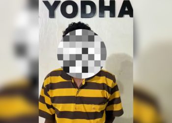 Pelaku Pencurian Ayam Beku di Merauke Diciduk